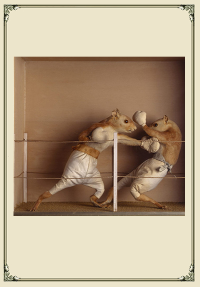 mouse taxidermy