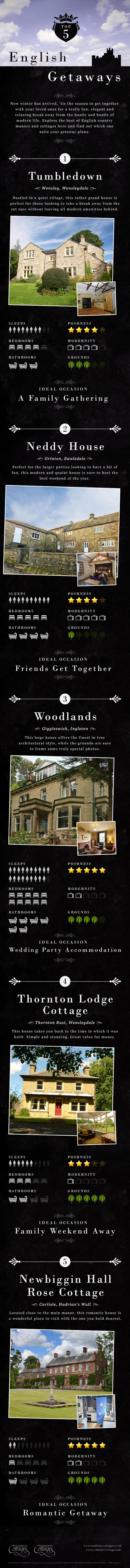 Downton Abbey Infographic